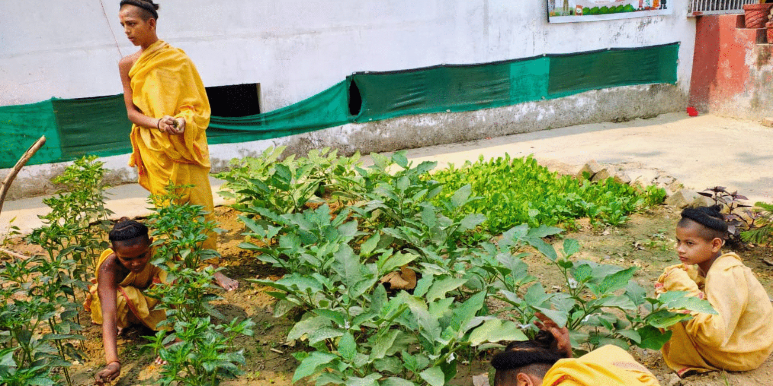 Poorn poshhanam Foundation gurukulam images