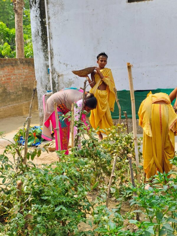 Poorn poshhanam Foundation gurukulam images